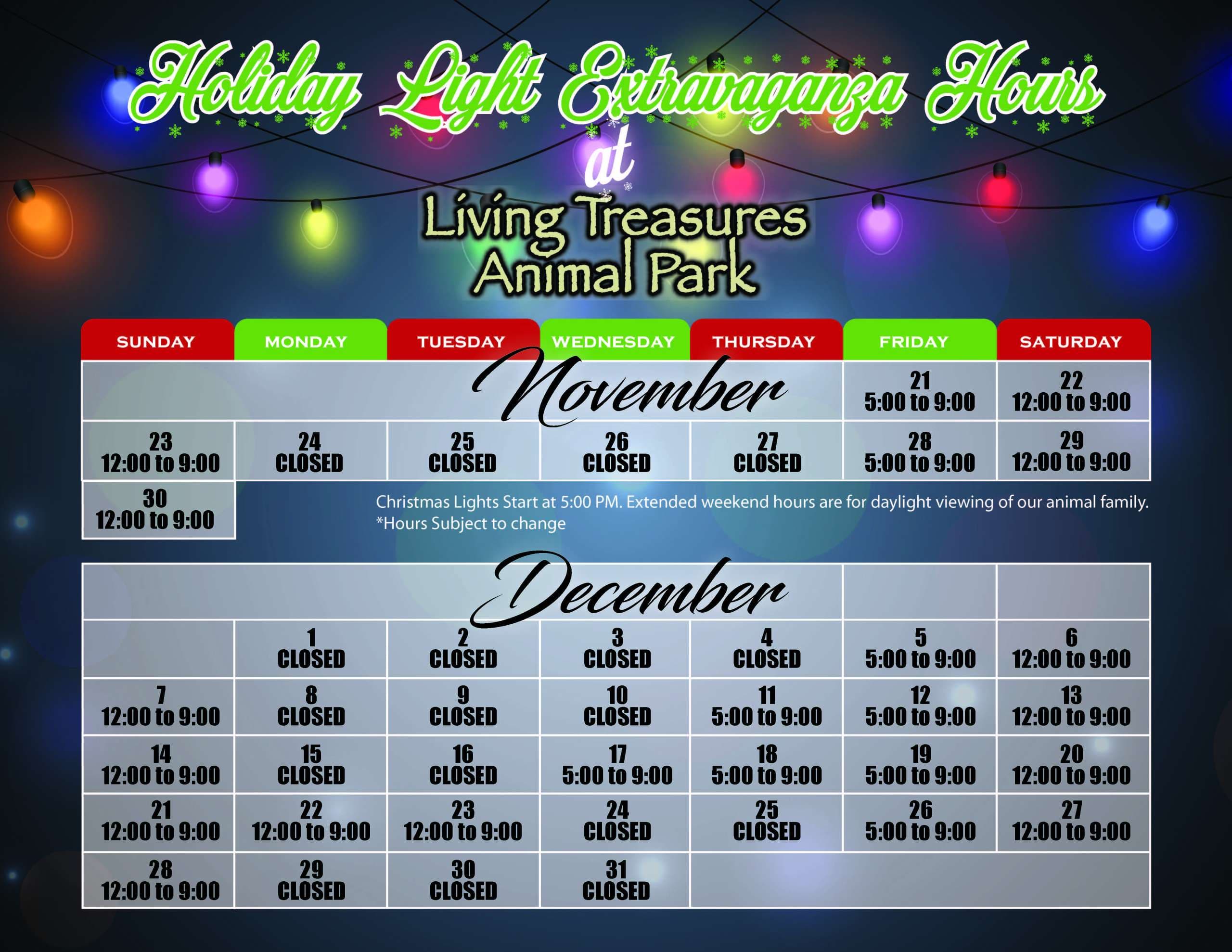 Holiday Light Extravaganza