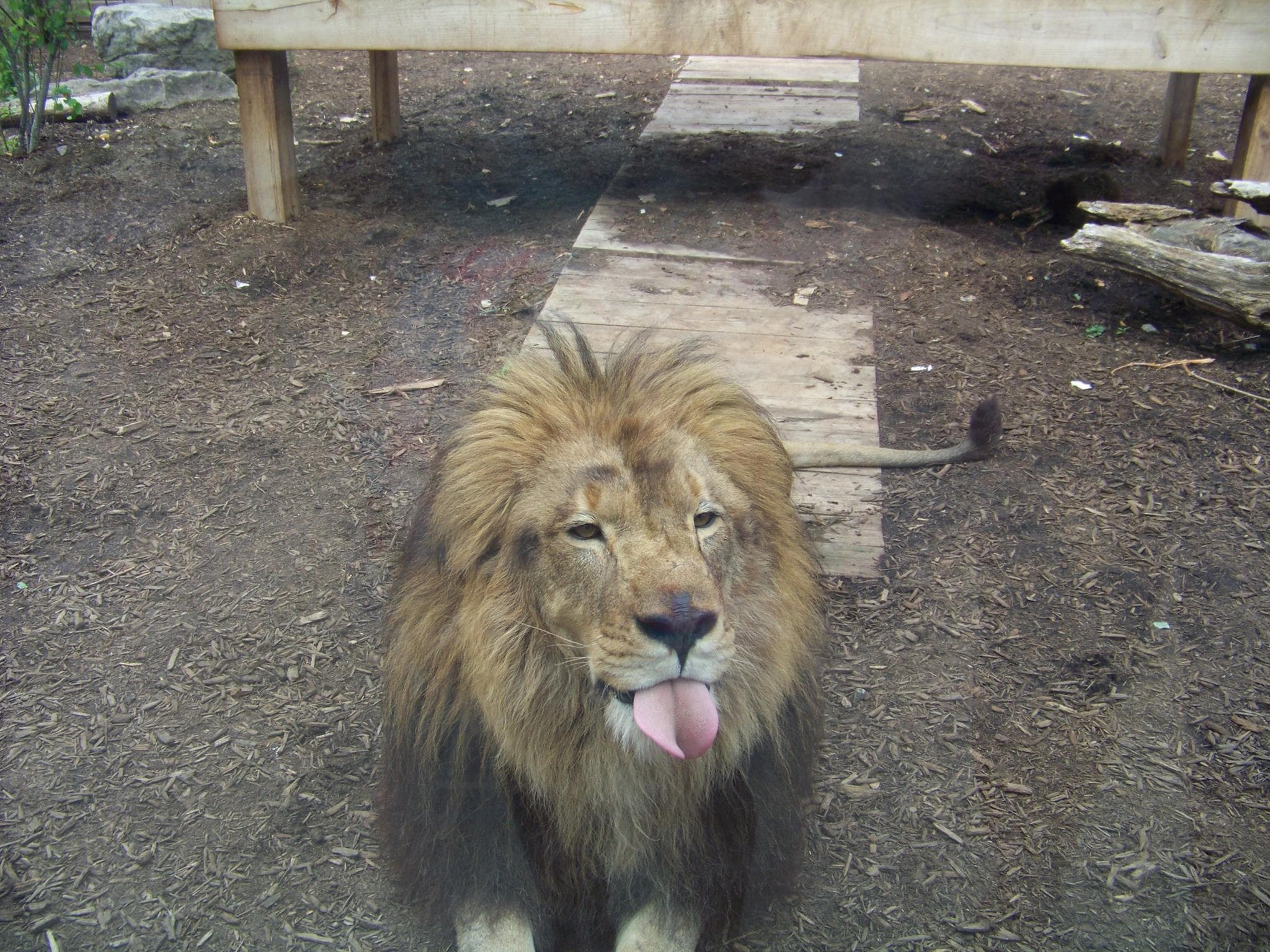 We Are Closed for the Winter