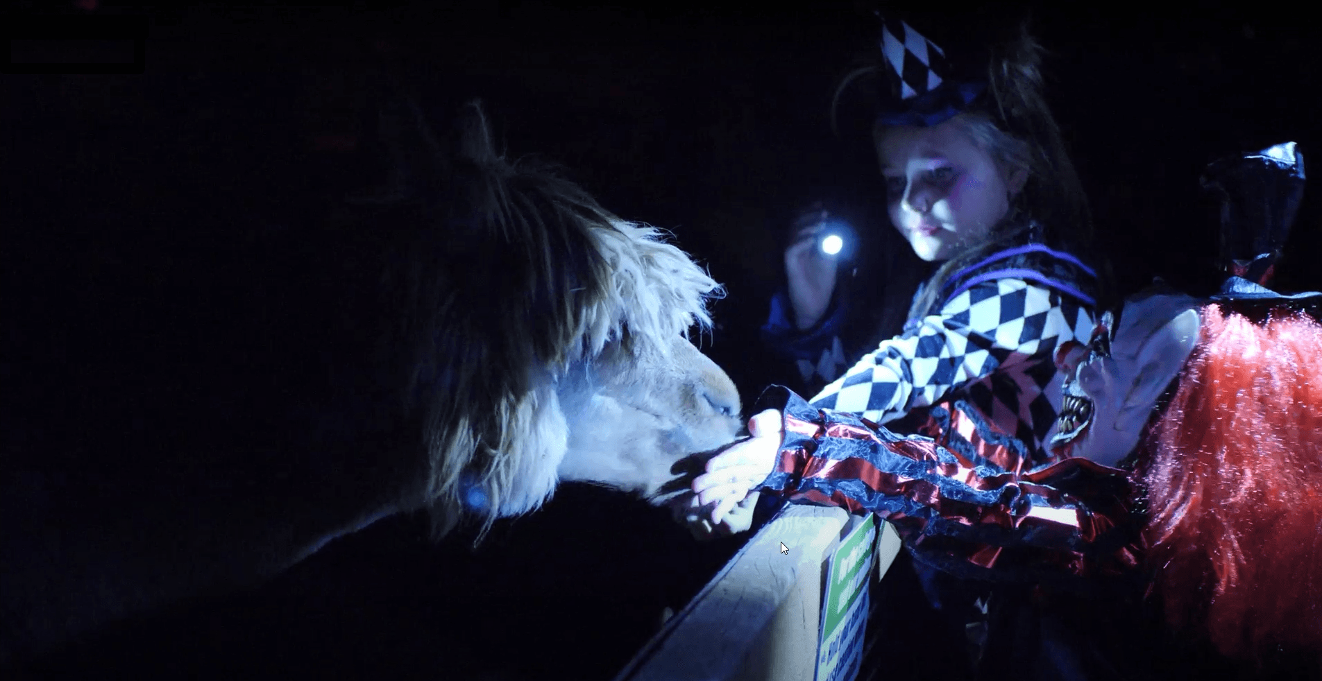 Night at the Zoo — animals lit up at night