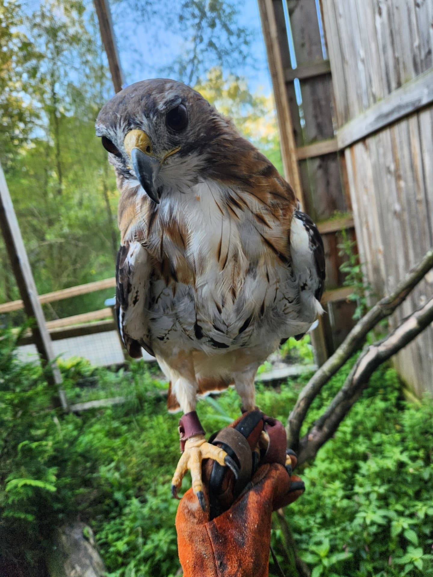Animal Encounter Photo Booth