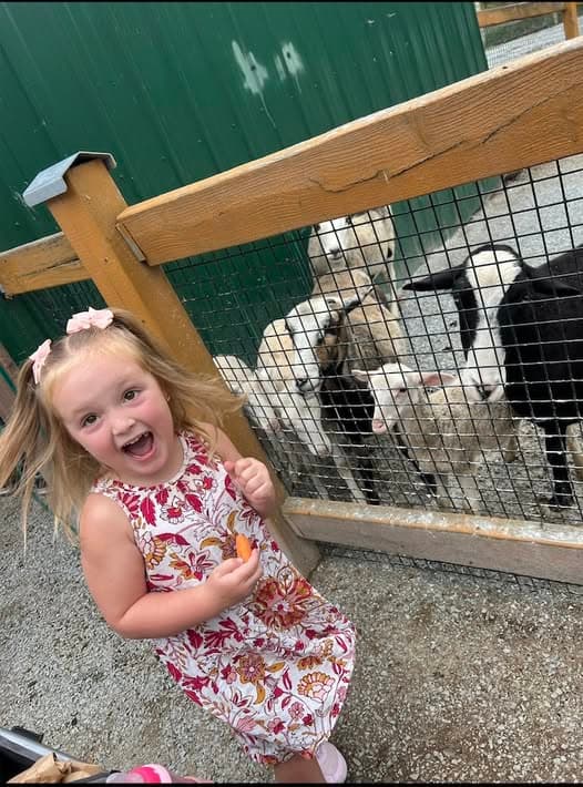 Kids feeding sheep at Living Treasures