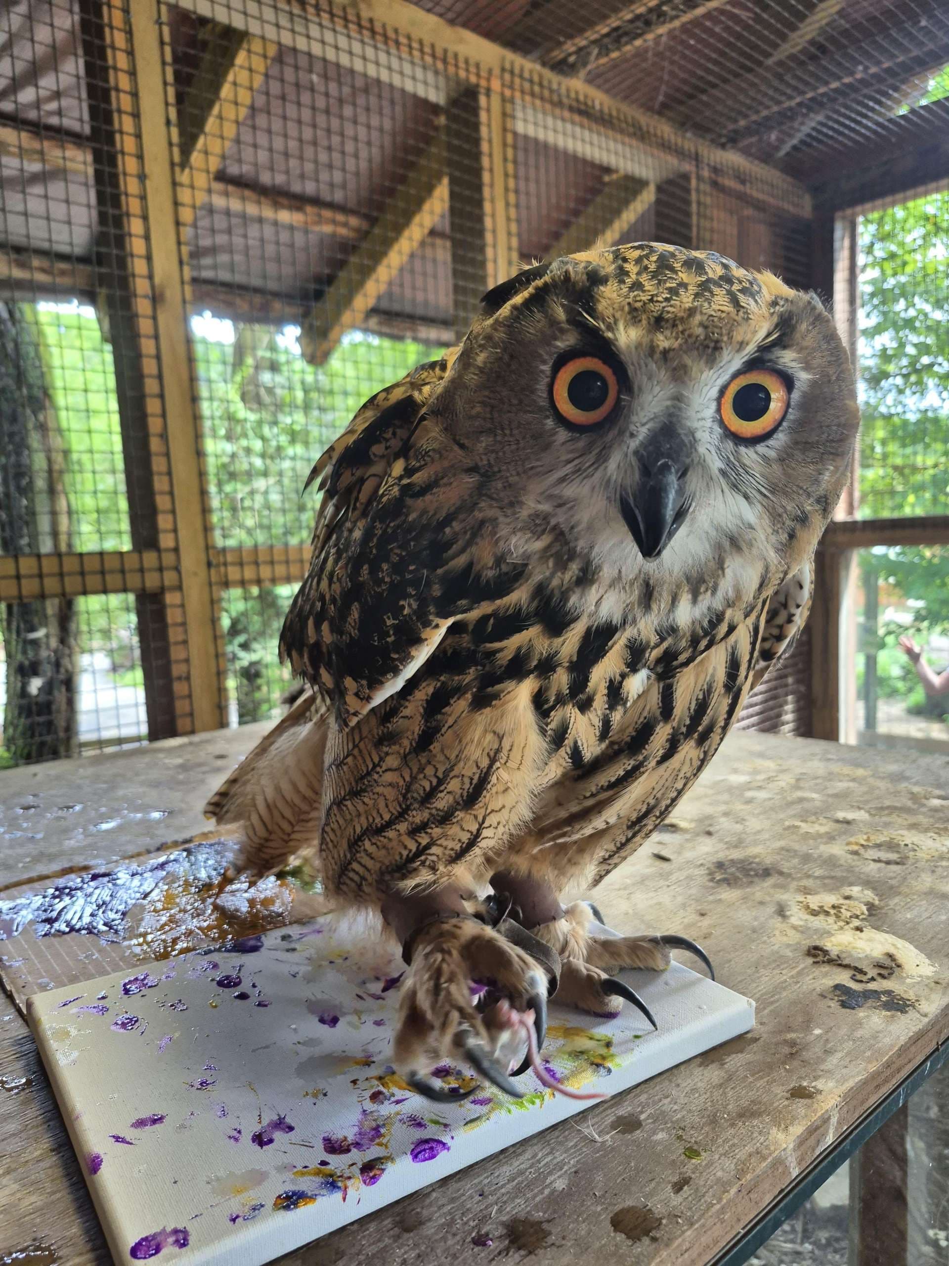 Painting by Socrates