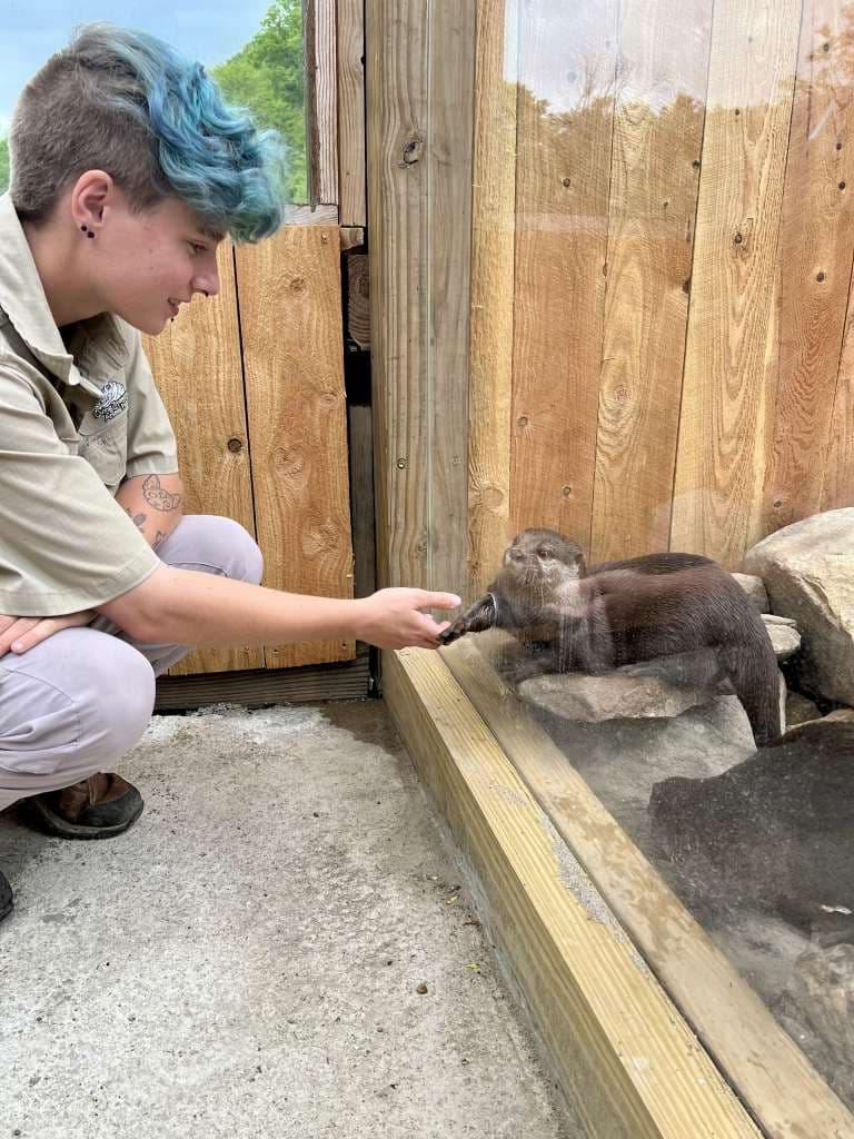 Otter encounter experience
