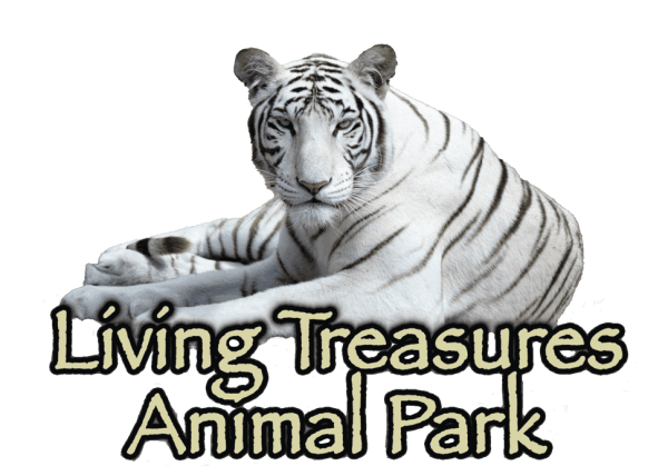 Living Treasures Animal Park