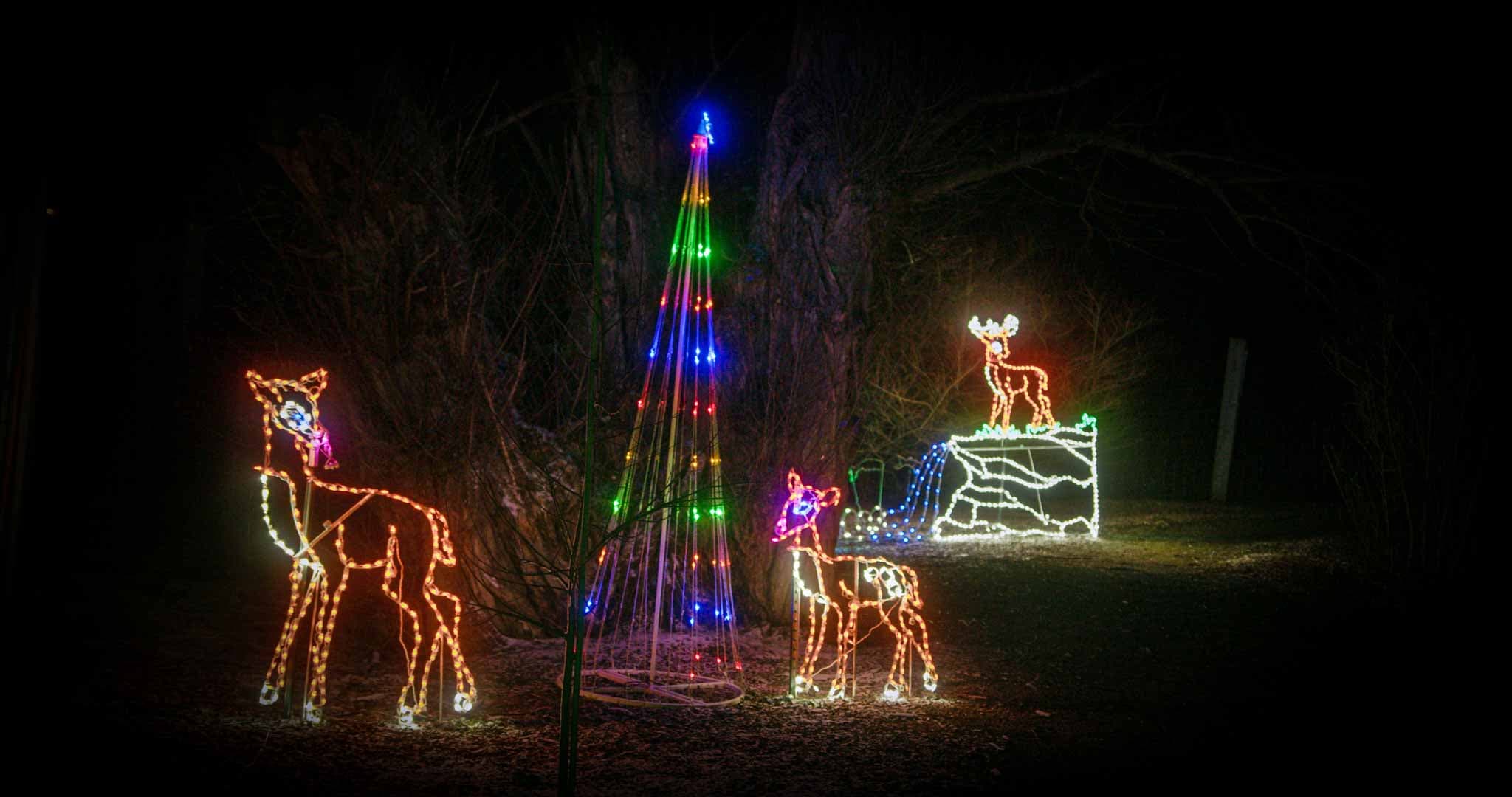 Holiday lights at Living Treasures