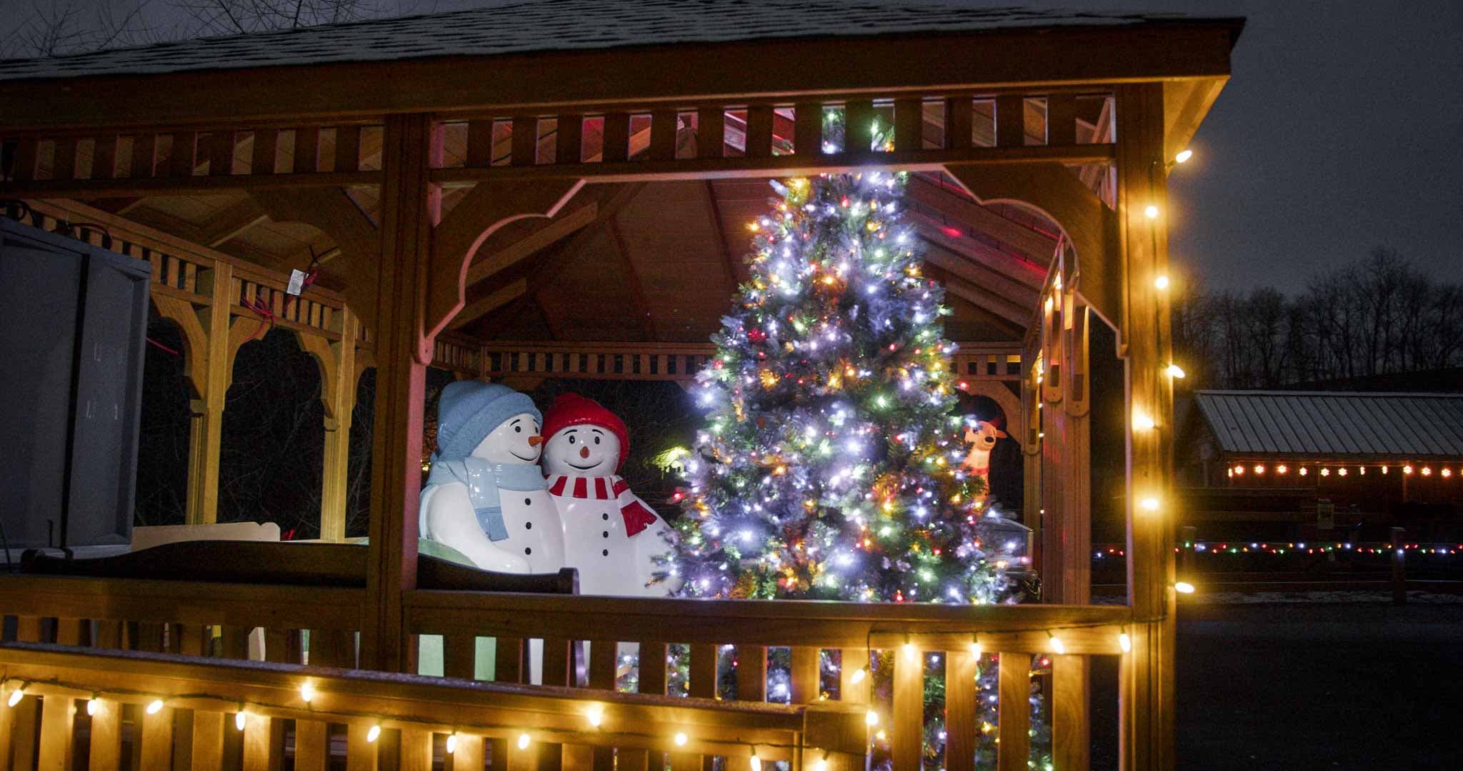 Holiday lights at Living Treasures