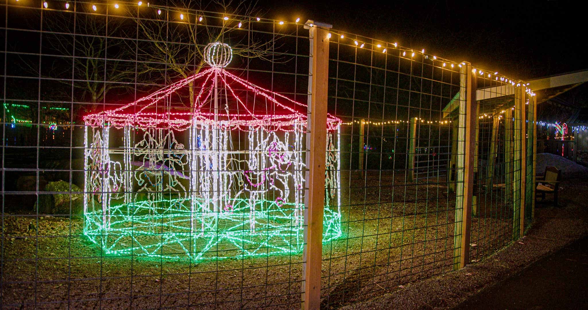 Light display at the park
