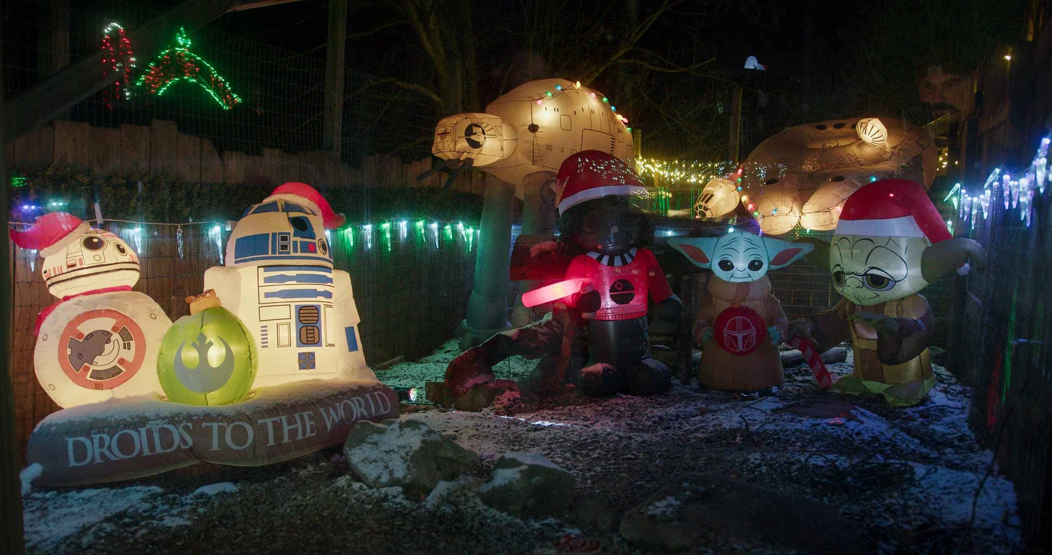 Holiday Light Extravaganza